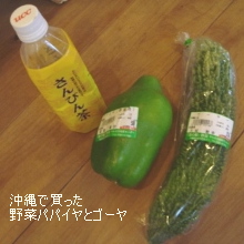 沖縄で買った野菜パパイヤとゴーヤ（さんぴん茶）