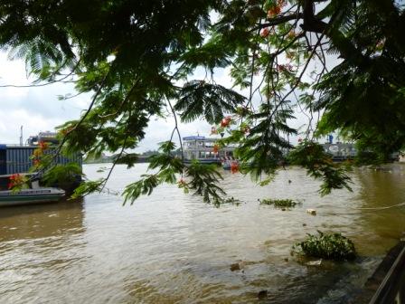 サイゴン川のほとり