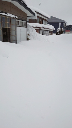 snow_shoveling00.JPG