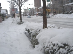 歩道も雪